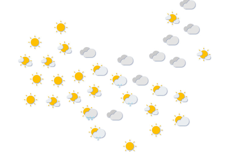 Forecast