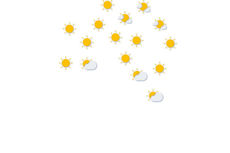Forecast