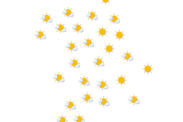 Forecast