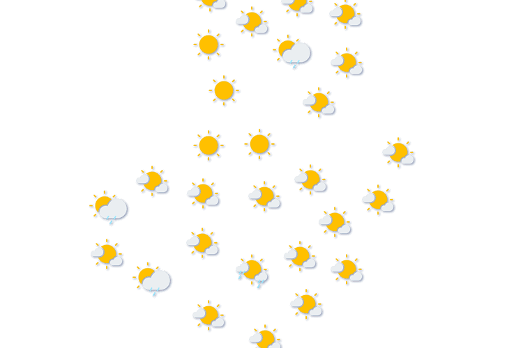 Forecast