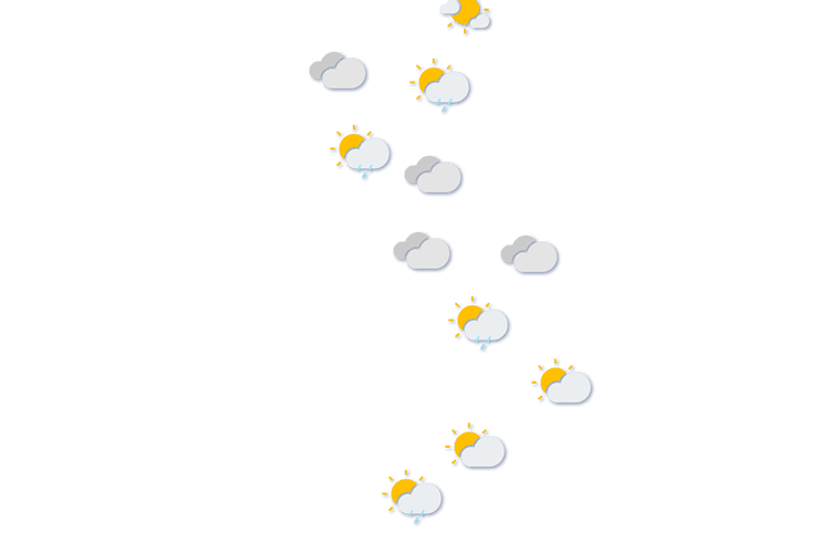 Forecast