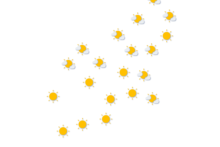 Forecast