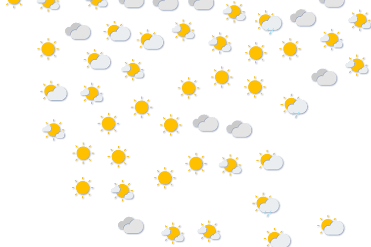 Forecast