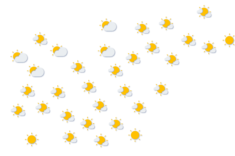 Forecast