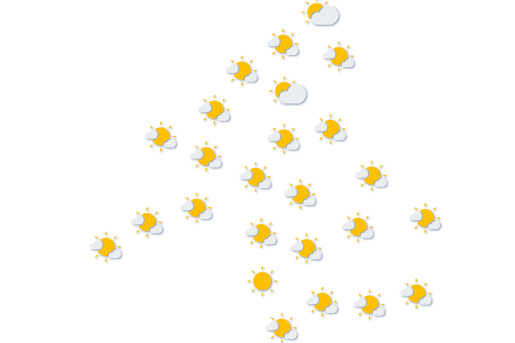 Forecast