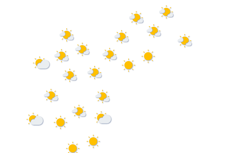 Forecast