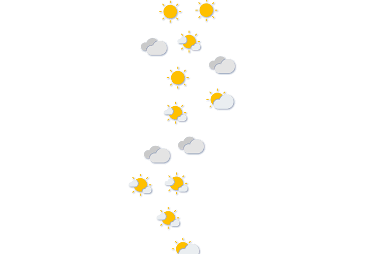 Forecast
