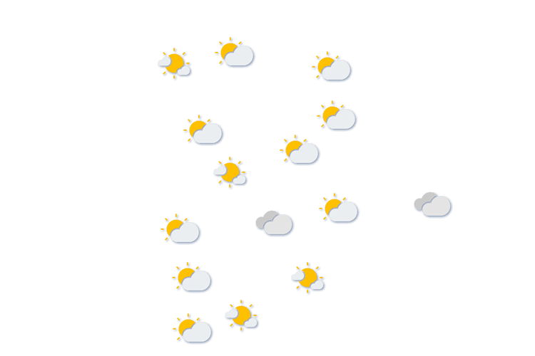 Forecast