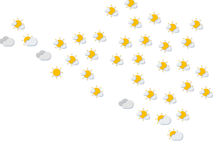 Forecast