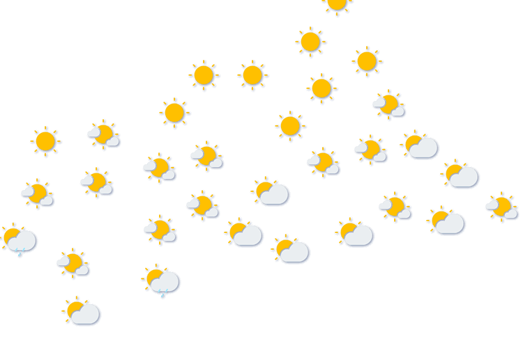 Forecast