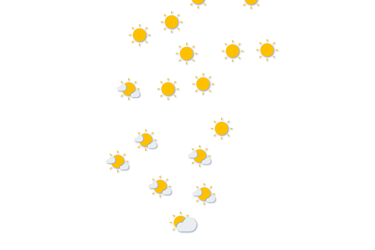 Forecast