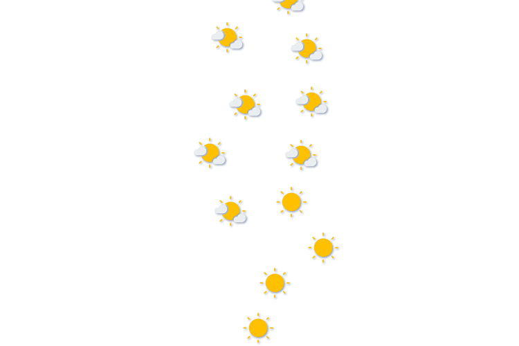 Forecast