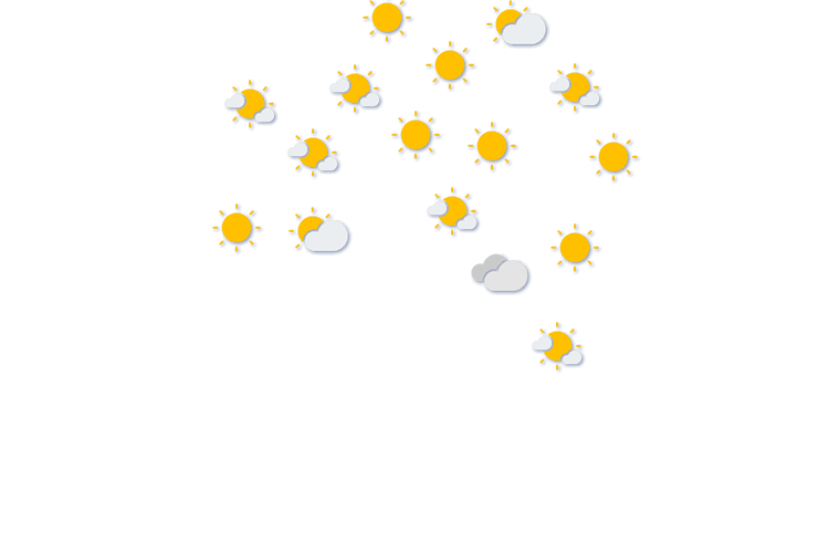 Forecast