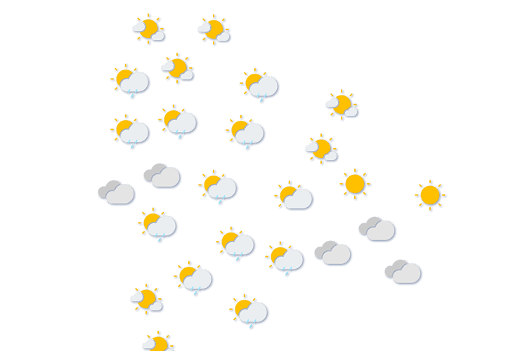 Forecast