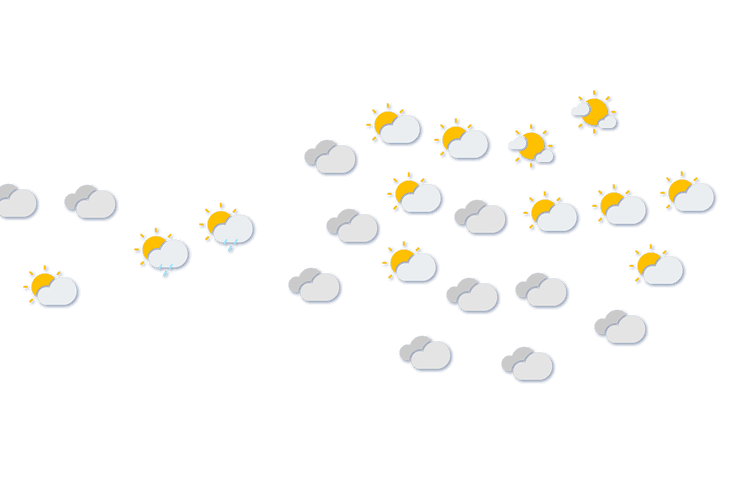 Forecast
