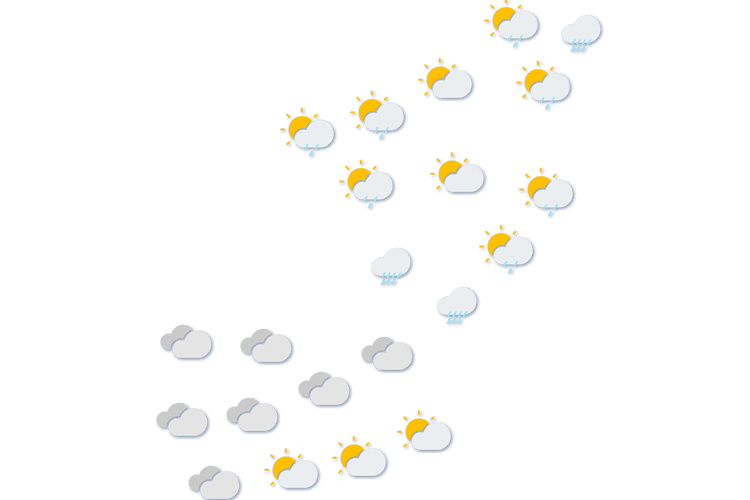 Forecast