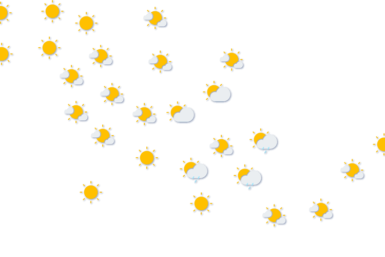 Forecast
