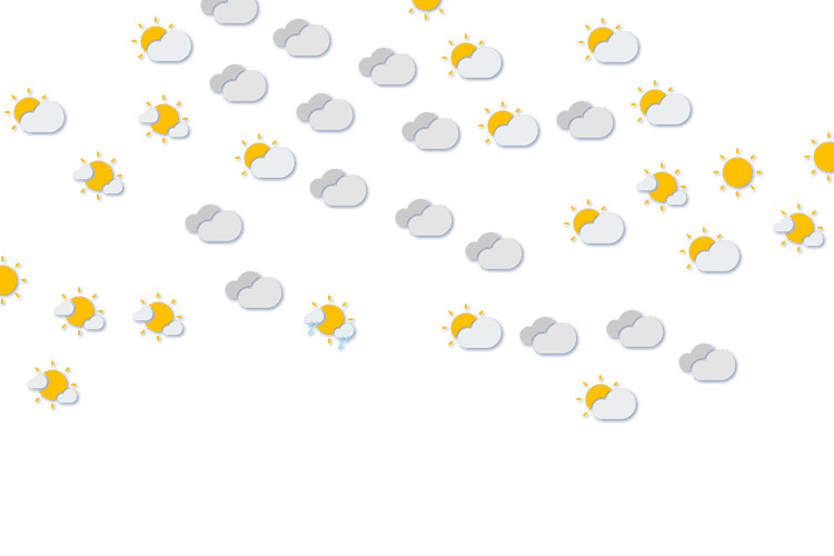 Forecast