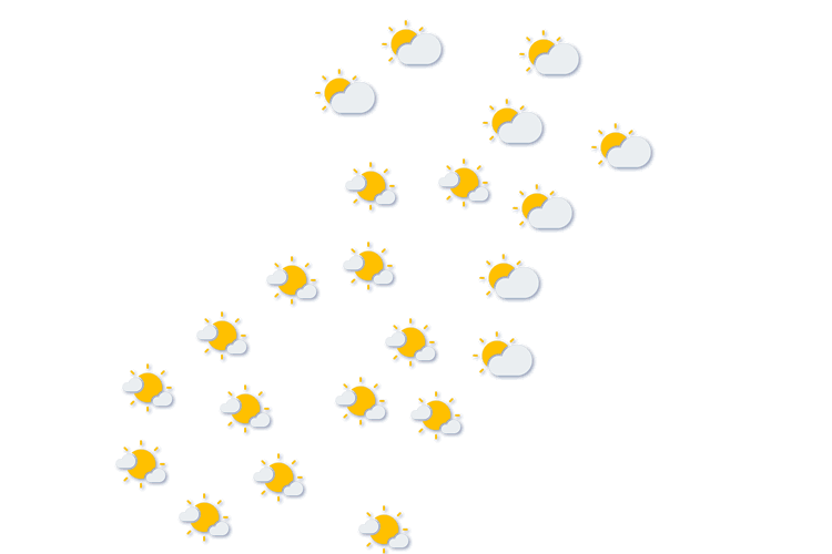 Forecast