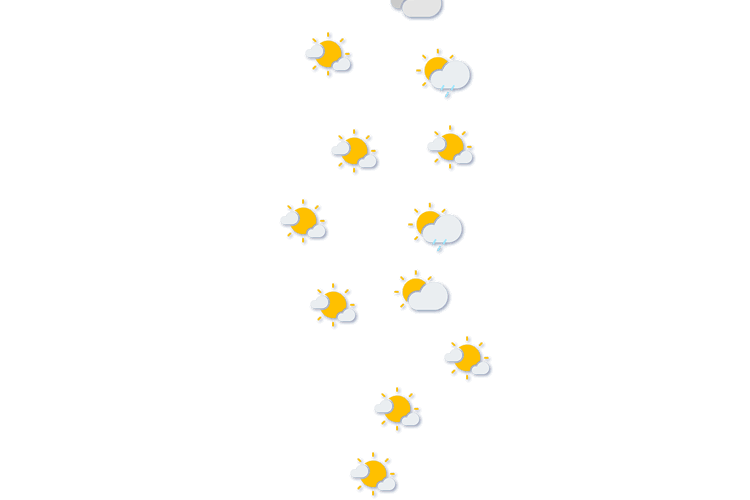 Forecast