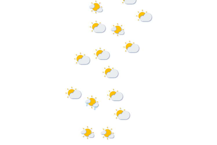 Forecast