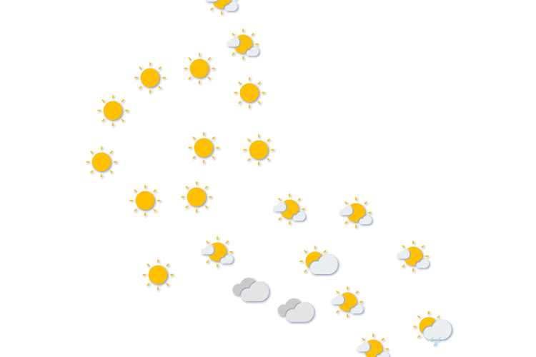 Forecast