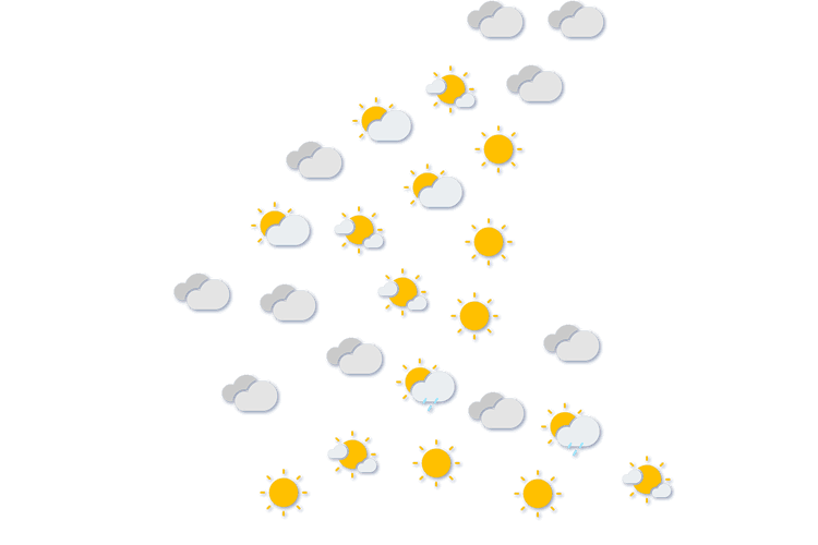 Forecast