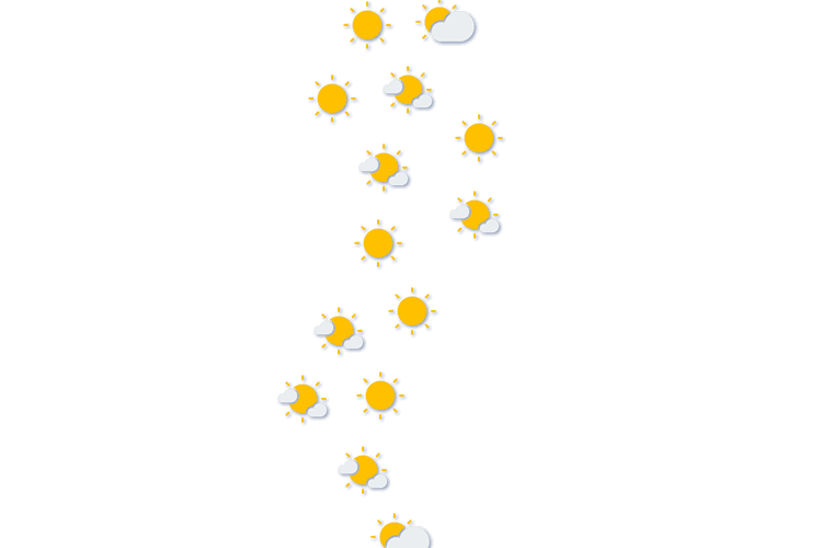 Forecast