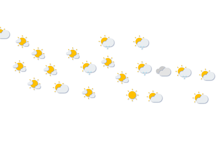 Forecast