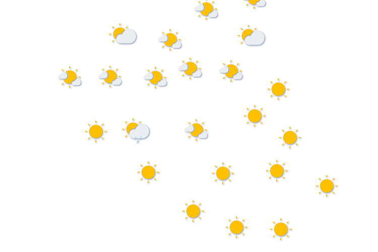 Forecast