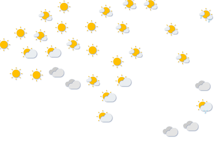 Forecast