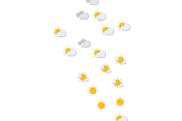 Forecast