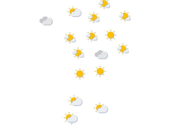 Forecast