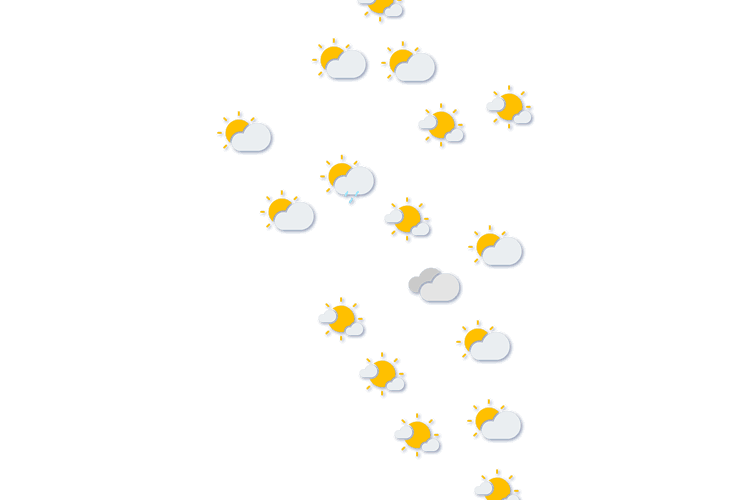 Forecast