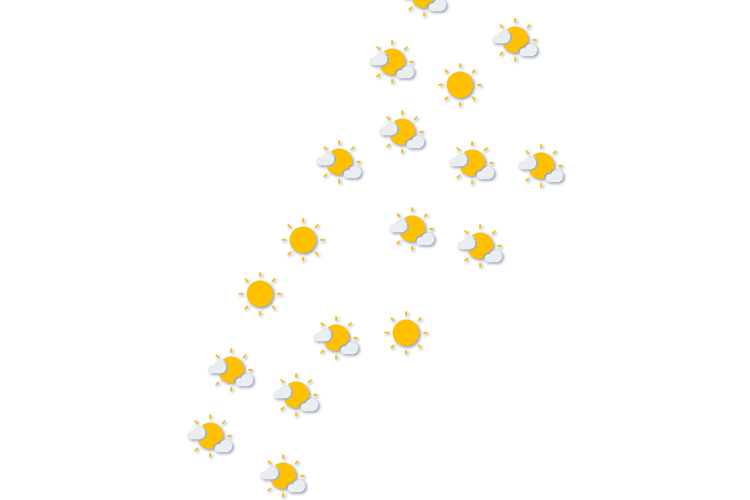 Forecast
