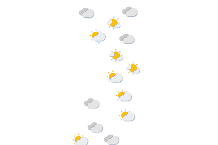 Forecast