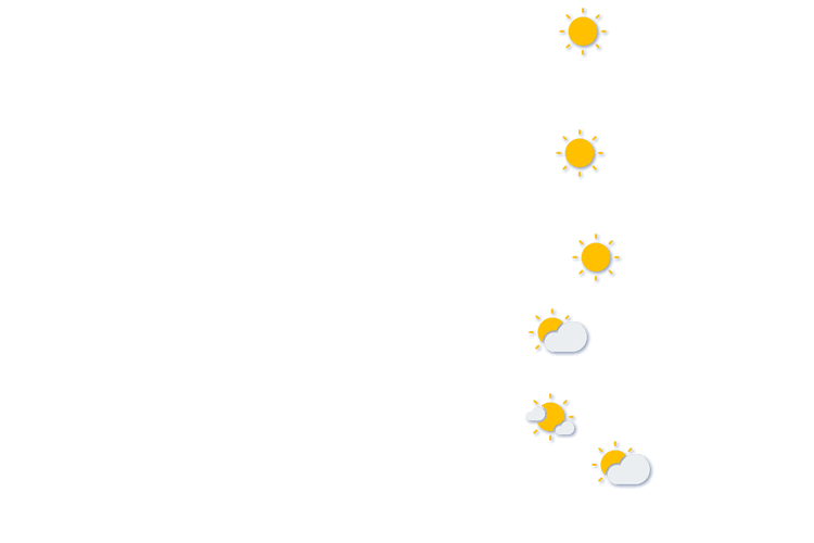 Forecast