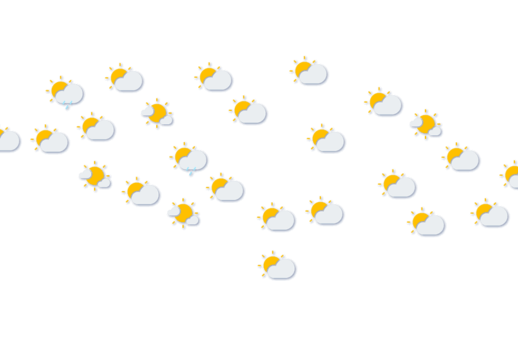 Forecast