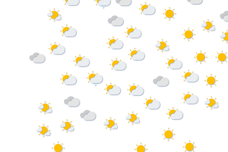 Forecast