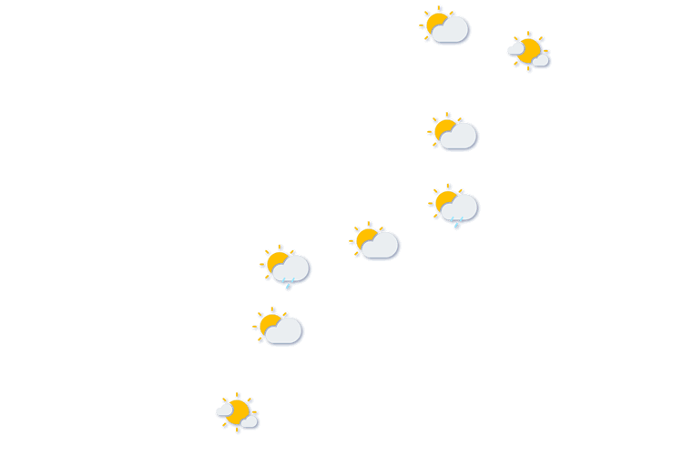 Forecast
