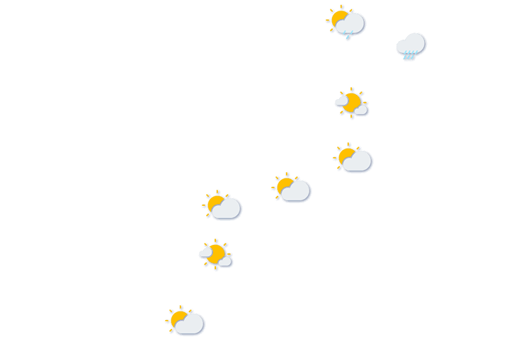 Forecast