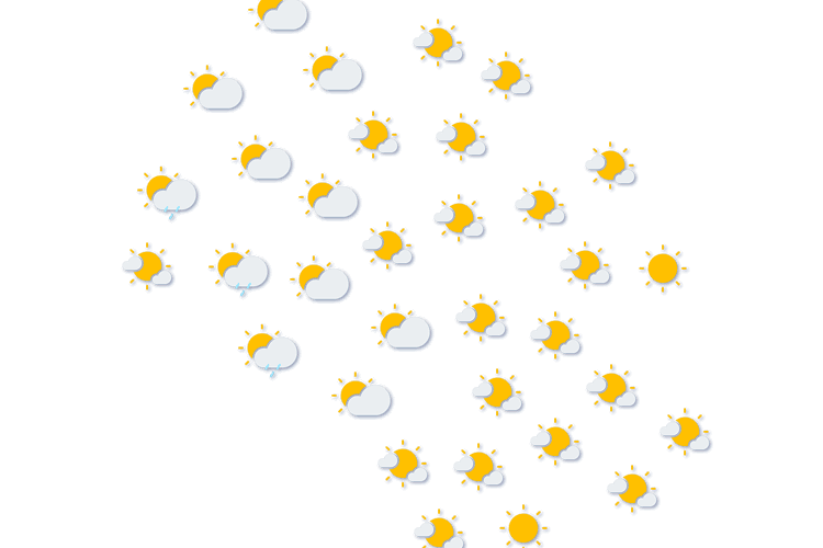 Forecast