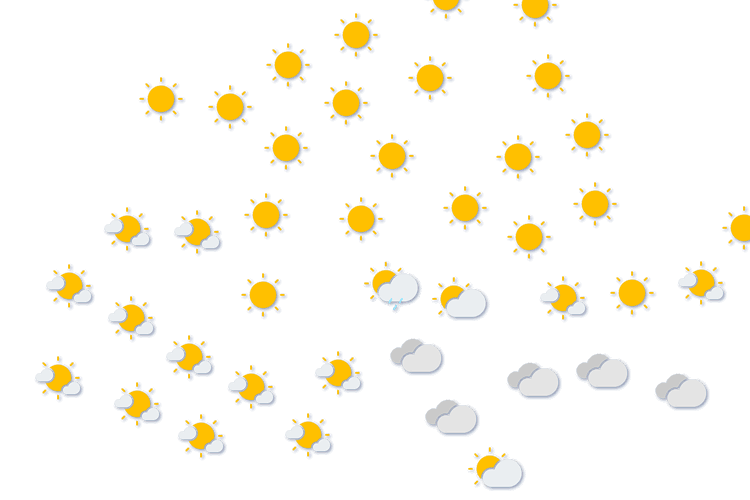Forecast