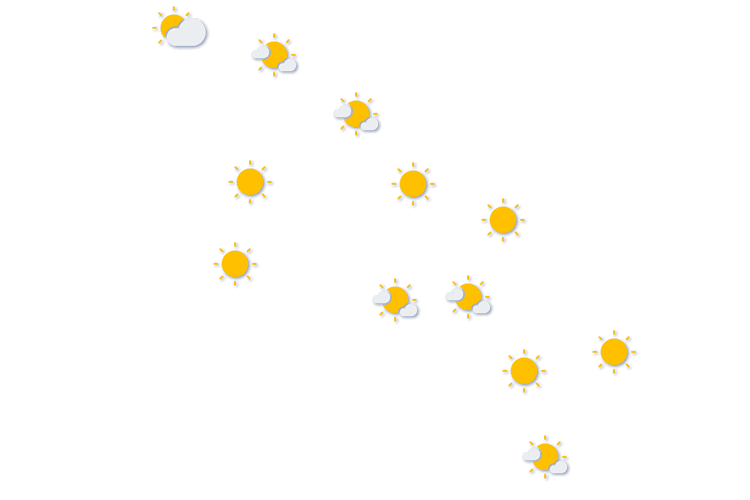Forecast