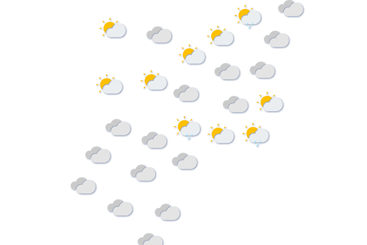 Forecast