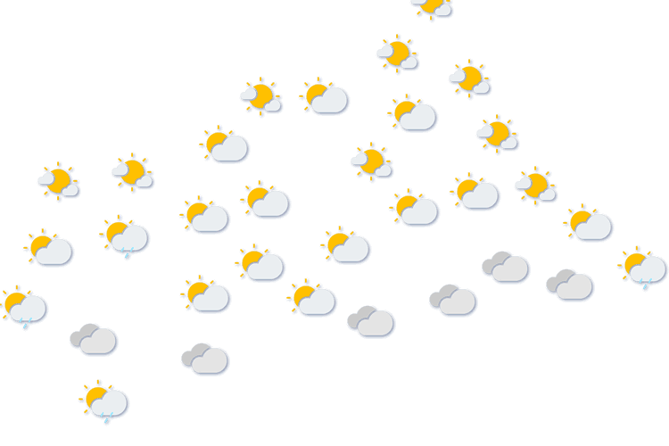 Forecast