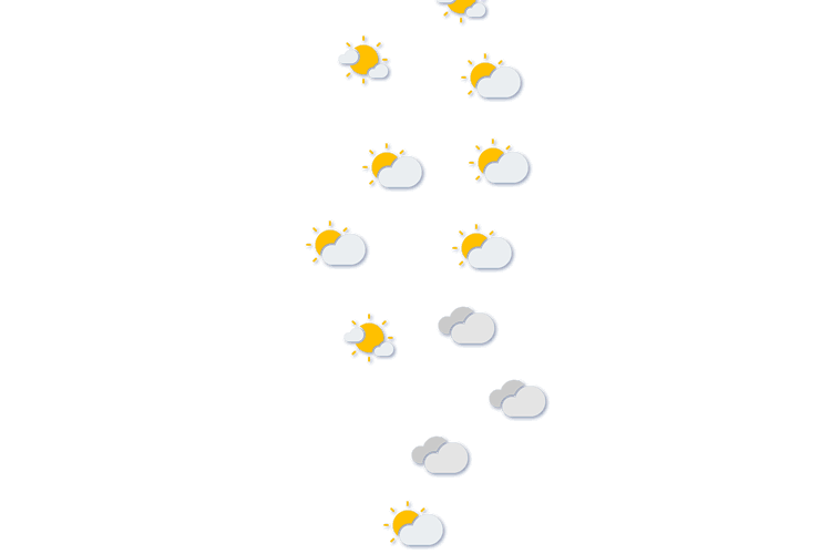Forecast