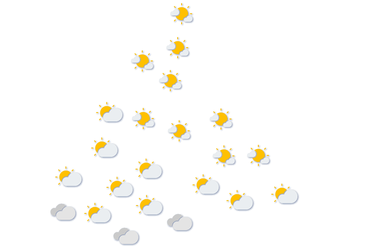 Forecast