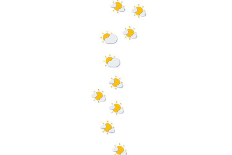 Forecast