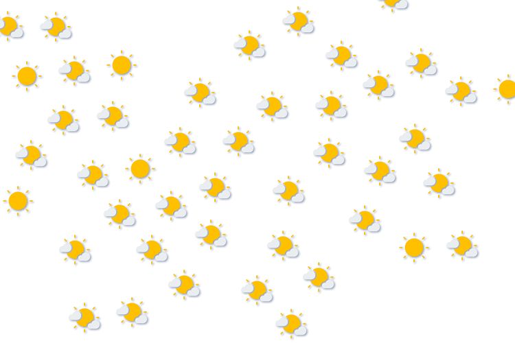 Forecast